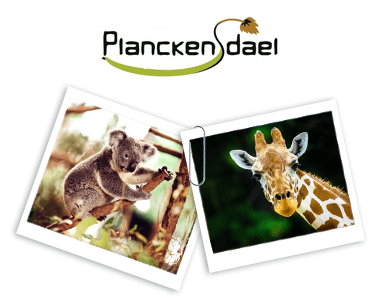 Bestel en krijg 2 tickets voor Planckendael!