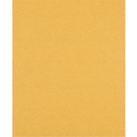 Feuille abrasive bois et peinture C470 Expert 230x280mm - Bosch