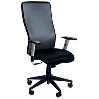Ergonomische bureaustoel met hoge rugleuning Penelope - Stof - Manutan