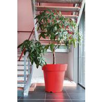 Gekleurde designpot - 200 liter