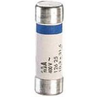 Industrieel zekeringspatroon GG 500 V