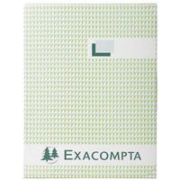 Register 29,7x21 cm gelinieerd gefolioteerd 200 pagina's - Exacompta