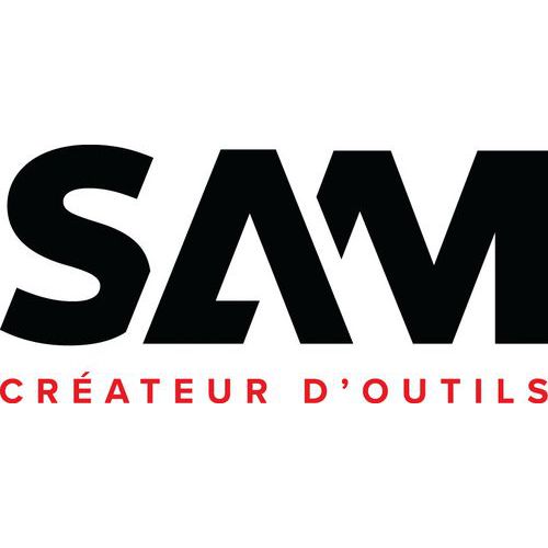 Tournevis Torx isolé 1000 volts - Sam