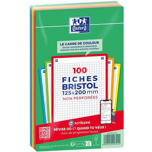 Steekkaart Bristol A4+ - niet geperforeerd - set a 100 - assorti - Oxford