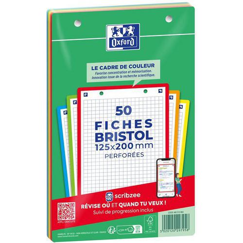 Steekkaart Bristol A4+ - geperforeerd - set a 50 - assorti - Oxford