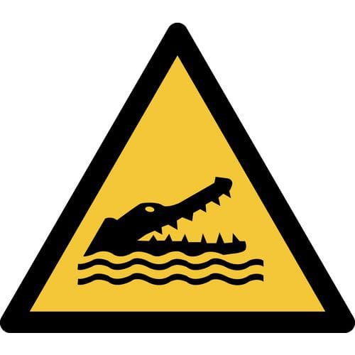 Panneau pictogramme Crocodiles