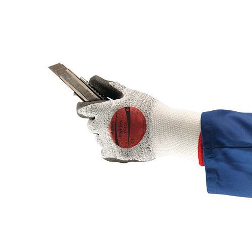 Snijbestendige handschoen Hyflex 11-425