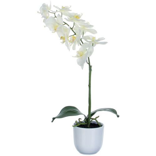 Phalaenopsis orchidée 60 cm - Vepabins