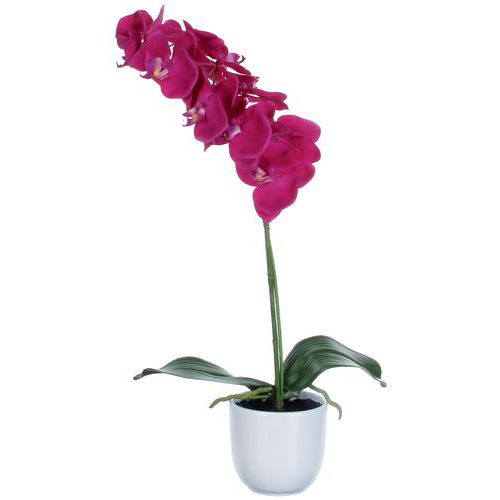 Kunstplant Phalaenopsis orchidee 60cm - Vepabins