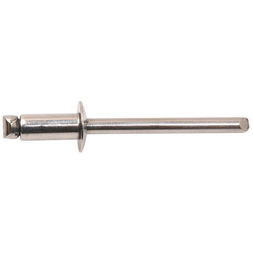 Klinknagel rvs A2 TRS (per 500) Klinknagel rvs A2 TRS (per 500)