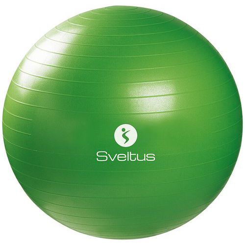 Gymbal 65 cm – Sveltus