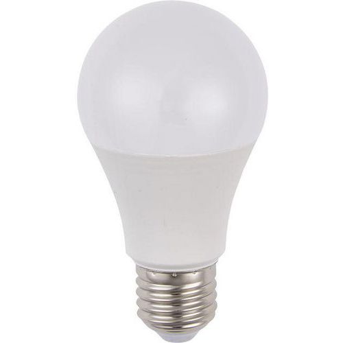 Ledlamp standaard A60 E27 van 4 tot 10 W niet dimbaar opaal - SPL