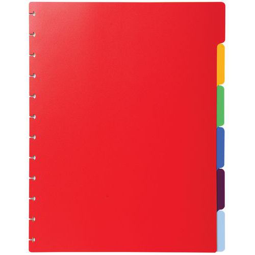 Intercalaires polypropylènes couleurs pour porte-vues à anneaux
