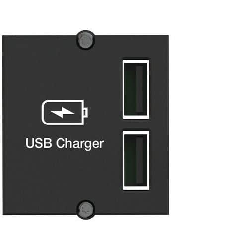 Plastron chargeur à 2 ports USB - Bachmann