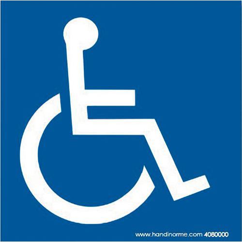Plaque magnétique pour véhicule handicapé