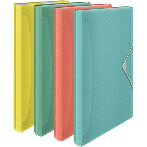 Projectmap, 6 vaks, Colour'Ice - Esselte Projectmap, 6 vaks, Colour'Ice - Esselte