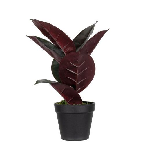 Kunstplant Ficus Eastica - 36 of 120 cm - Paperflow