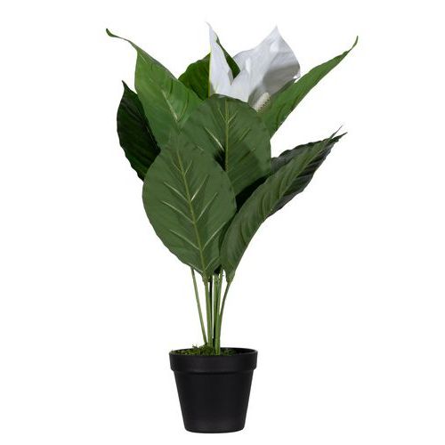 Kunstplant Lepelplant - Meet By Paperflow