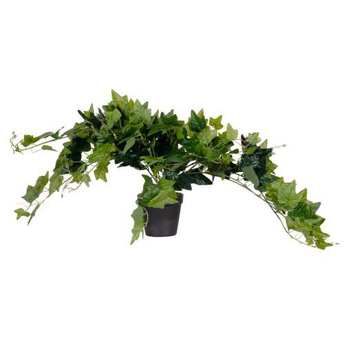 Kunstplant Klimop Delairea odorata - 80 cm - Meet by Paperflow