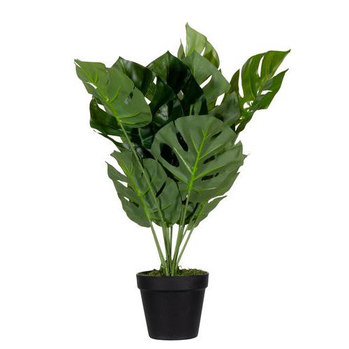 Kunstplant Monstera - hoogte 45 tot 130 cm - Meet by Paperflow