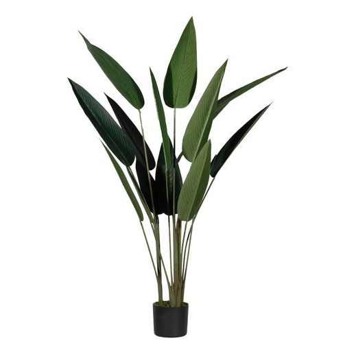 Kunstplant Strelitzia - Paperflow