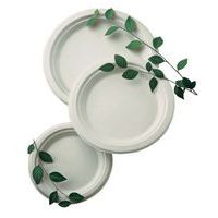 Bord plat wit van suikerriet vezel_Matfer