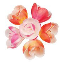 Eetbaar bloem ongezuurd pastel azoicum assorti_Matfer