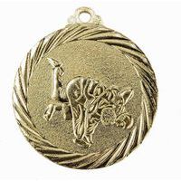 Medaille judo goud