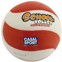 Volleybal