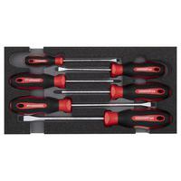 Schroevendraaierset in module 1/3 6 delig R22150013 - GedoreRed