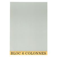 Boekhoudcontrole blok 29,7x21cm 6 koloms 70 bladen Exacompta