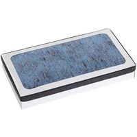 Hepa-filter voor handdroger Aery First en Aery Plus - Rossignol