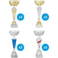 Beker goud en zilver 27 cm - set van 12