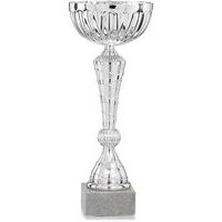 Prijs beker/ trofee Eco zilver