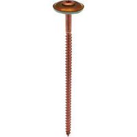Vis de couverture à tête fraisée bombée Torx en inox cuivrée - Norail