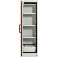 Brandwerende kast PROline F90 - Cemo