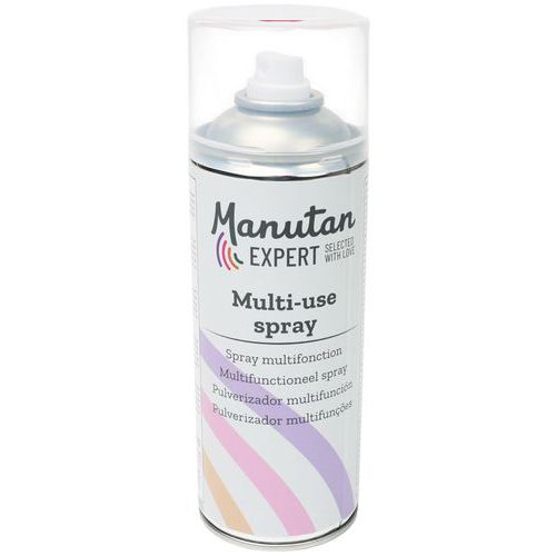 Dégrippant lubrifiant multifonction - Manutan Expert