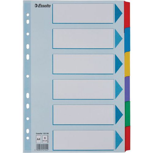 Intercalaire A4 en carton Mylar - lot de 20 - Esselte Intercalaire A4 en carton Mylar - lot de 20 - Esselte
