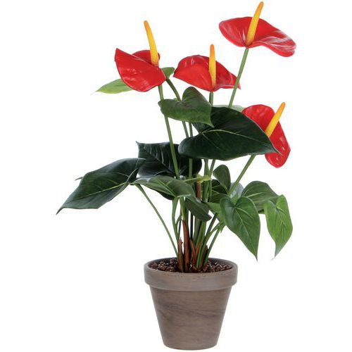 Kunstplant Anthurium - Vepabins Kunstplant Anthurium - Vepabins