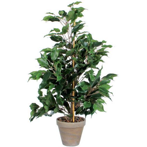 Kunstplant Ficus Exotica 65cm - Vepabins Kunstplant Ficus Exotica 65cm - Vepabins