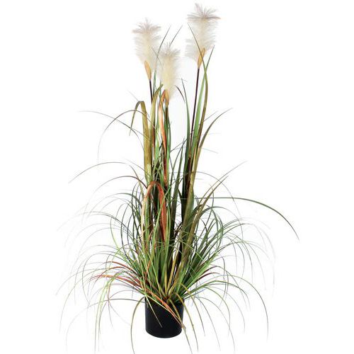 Kunstplant Pluimgras Foxtail 120cm - Vepabins Kunstplant Pluimgras Foxtail 120cm - Vepabins