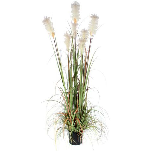 Kunstplant Pluimgras Foxtail 180cm - Vepabins Kunstplant Pluimgras Foxtail 180cm - Vepabins