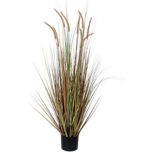 Kunstplant Pluimgras Dogtail 120cm - Vepabins Kunstplant Pluimgras Dogtail 120cm - Vepabins