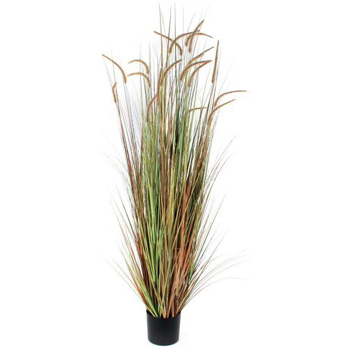 Kunstplant Pluimgras Dogtail 180cm - Vepabins Kunstplant Pluimgras Dogtail 180cm - Vepabins