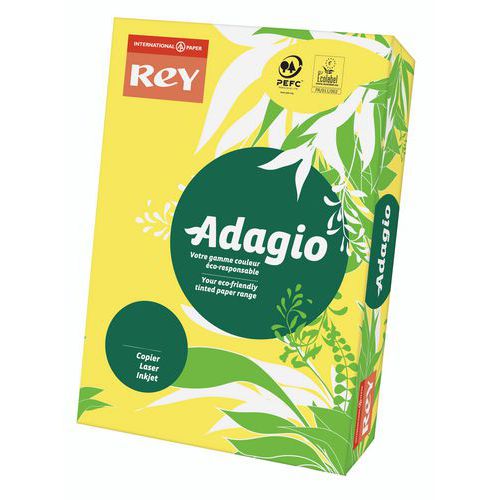 Papier A4 couleur 80 g Rey Adagio couleurs intenses - Ramette de 500  feuilles sur