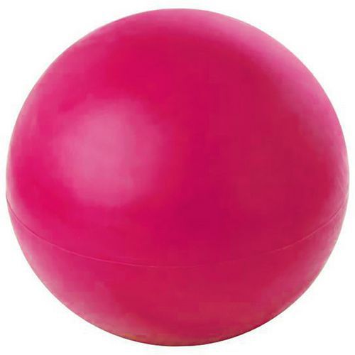 Boule d'équilibre Easy 70 cm - 10 à 16 kg Boule d'équilibre Easy 70 cm - 10 à 16 kg
