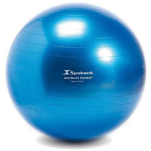 Gymbal Swiss ball antiburst