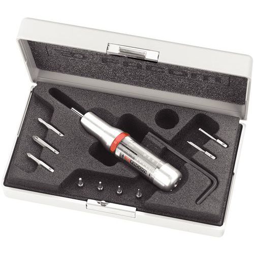 Set dynamometrische schroevendraaiers Micro-Tech