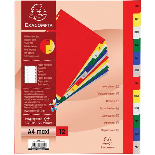 Intercalaires mensuel pp couleurs 12/100e - 12 positions A4+ Intercalaires mensuel pp couleurs 12/100e - 12 positions A4+