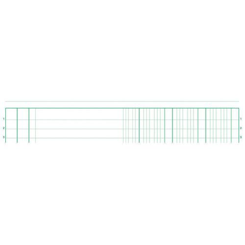 Manifold 3 colonnes 29,7x21cm 50 feuillets dupli autocopiant Manifold 3 colonnes 29,7x21cm 50 feuillets dupli autocopiant